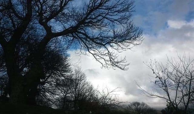 Protección Civil prevé rachas de viento de hasta 80 kilómetros por hora en Sanabria