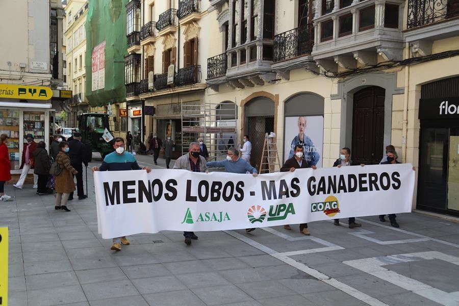 Manifestación contra la 'sobreprotección' del lobo en Zamora