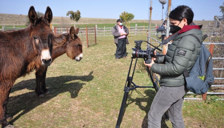 La fotógrafa enfoca a dos burros