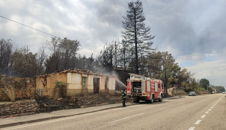 Las desoladoras imágenes de la Sierra de la Culebra tras el incendio (32)