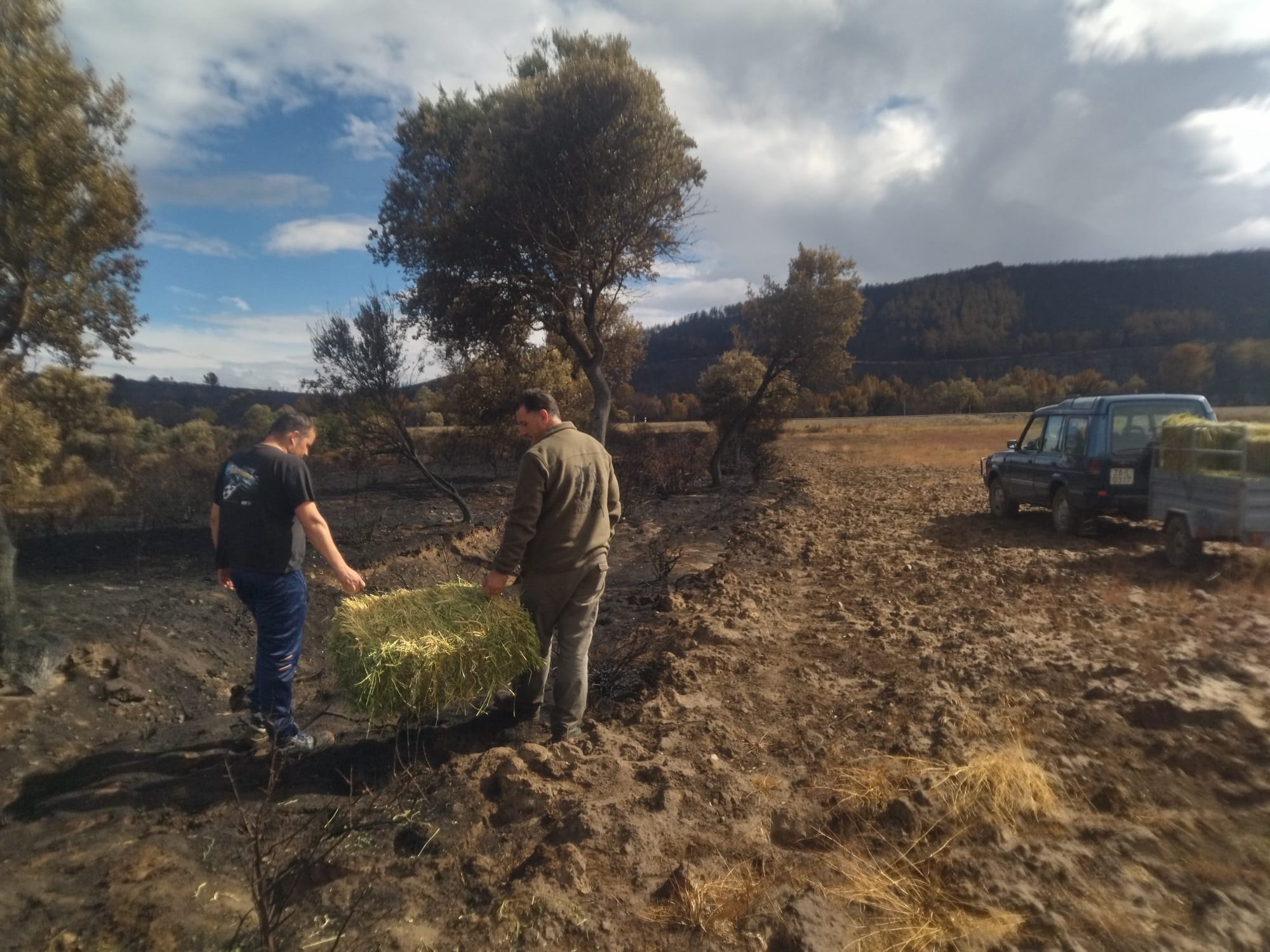Los miembros de Barmalo echan alfalfa por la Sierra 2