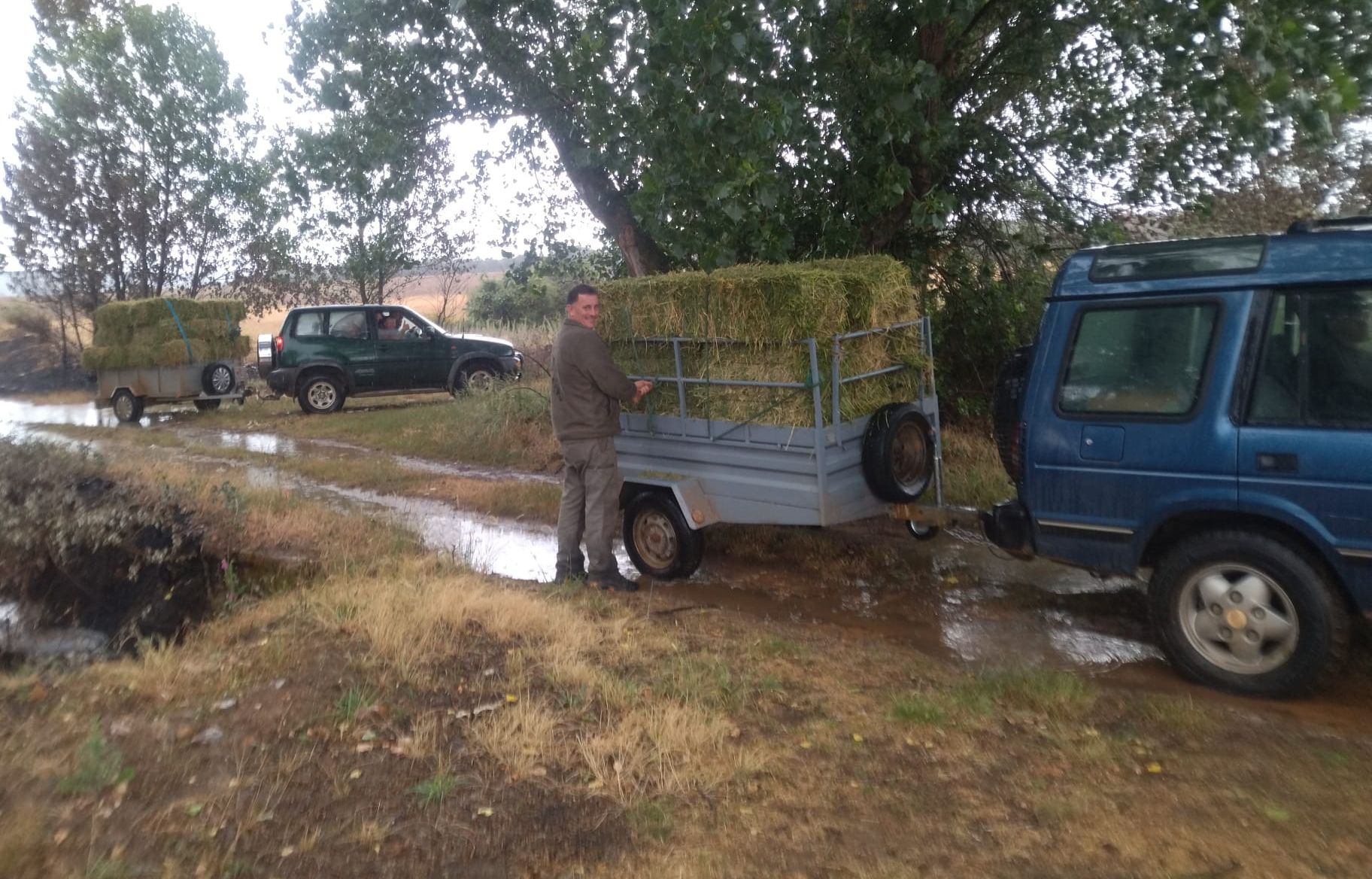 Los miembros de Barmalo echan alfalfa por la Sierra 3