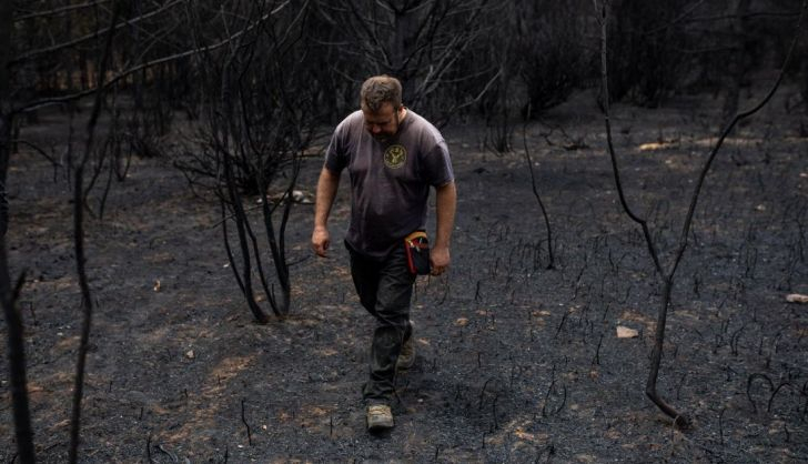 una persona camina por la zona tras el incendio de la sierra de la culebra foto 