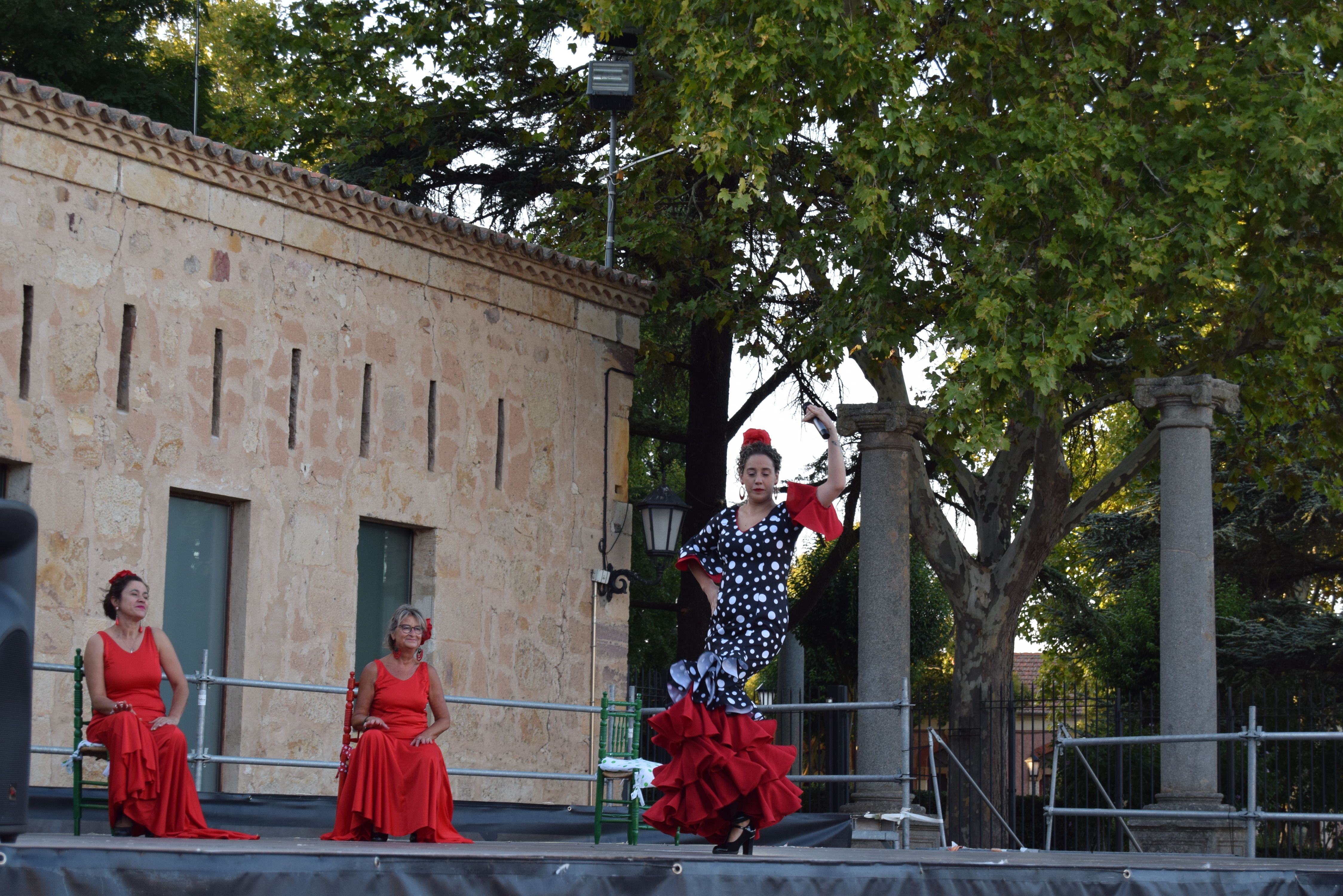 Añoranza despliega su arte con el flamenco (8)