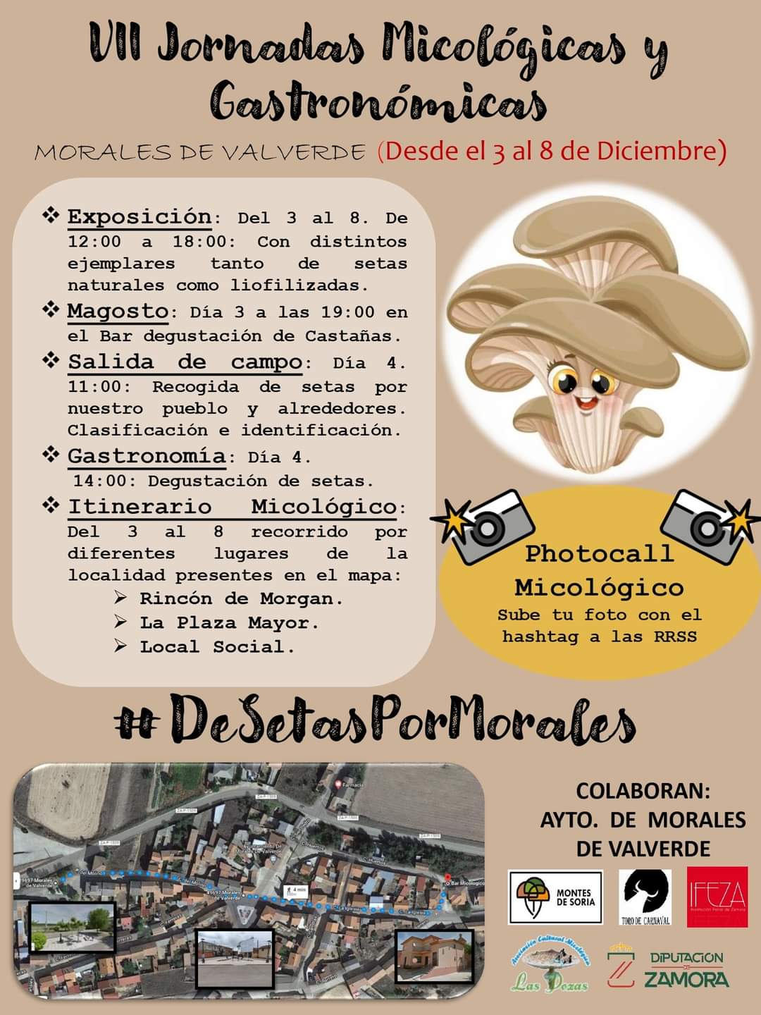 Cartel de las VII Jornadas Micológicas de Morales de Valverde