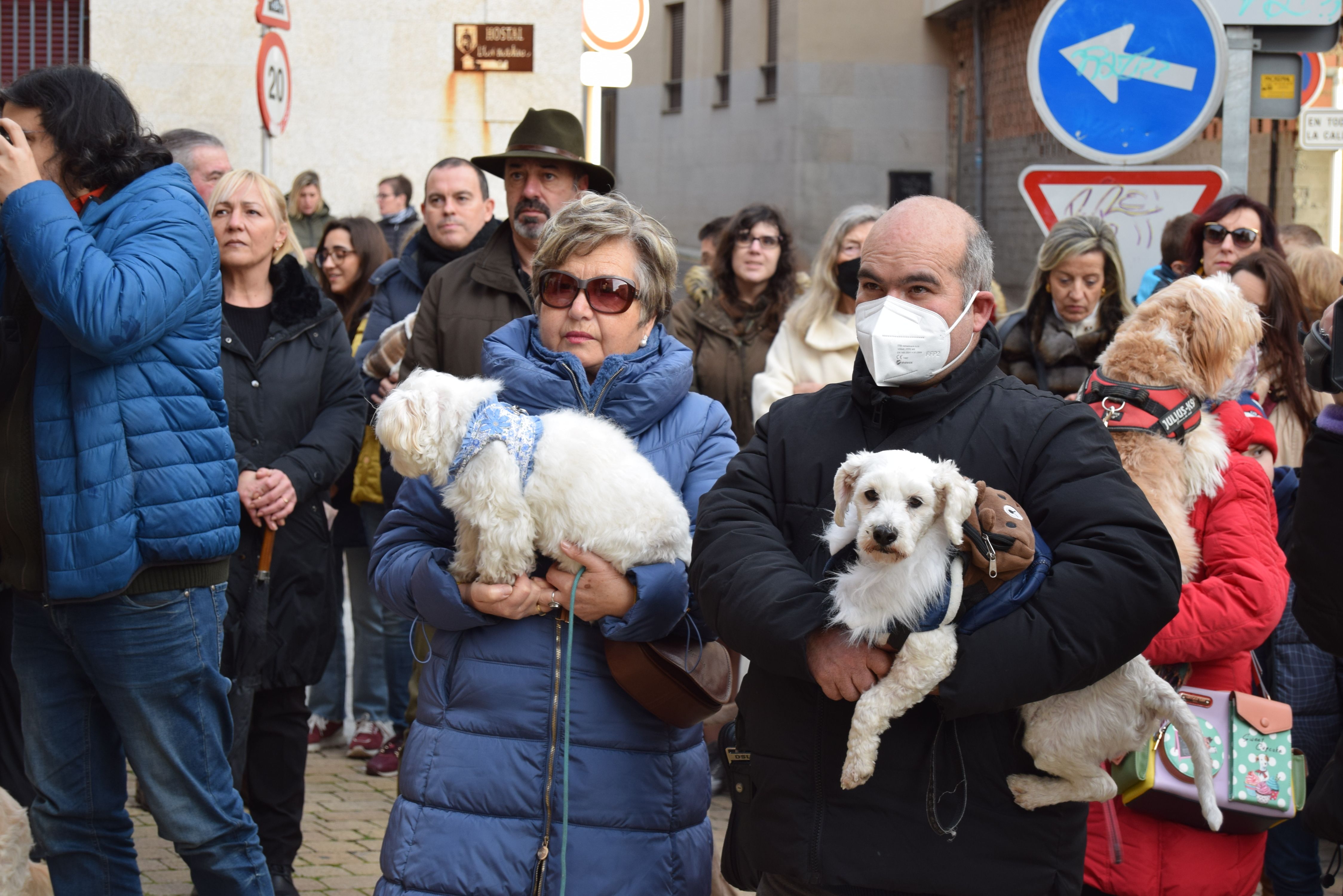 Los animales de Zamora reciben la bendición de San Antón (4)