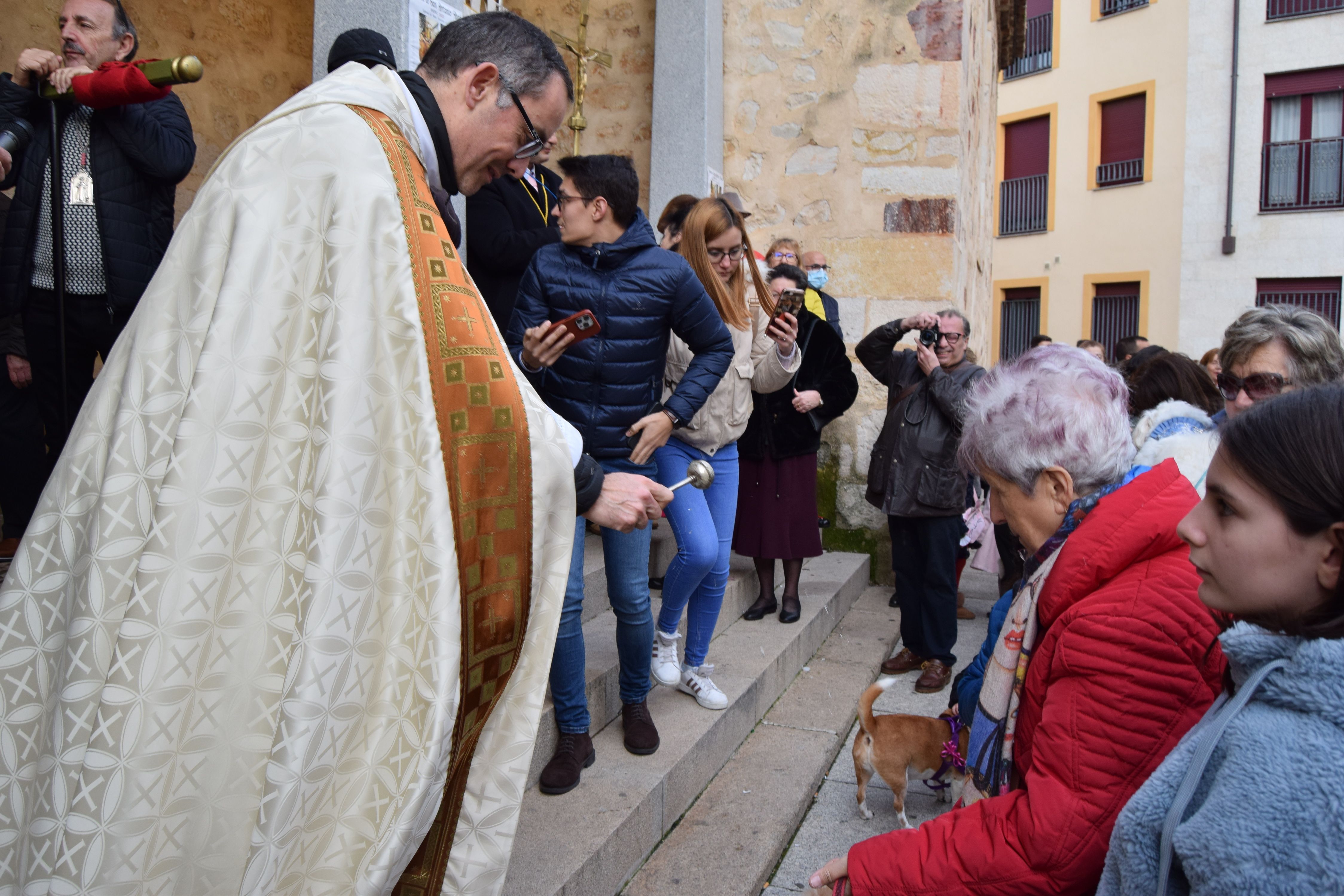Los animales de Zamora reciben la bendición de San Antón (6)
