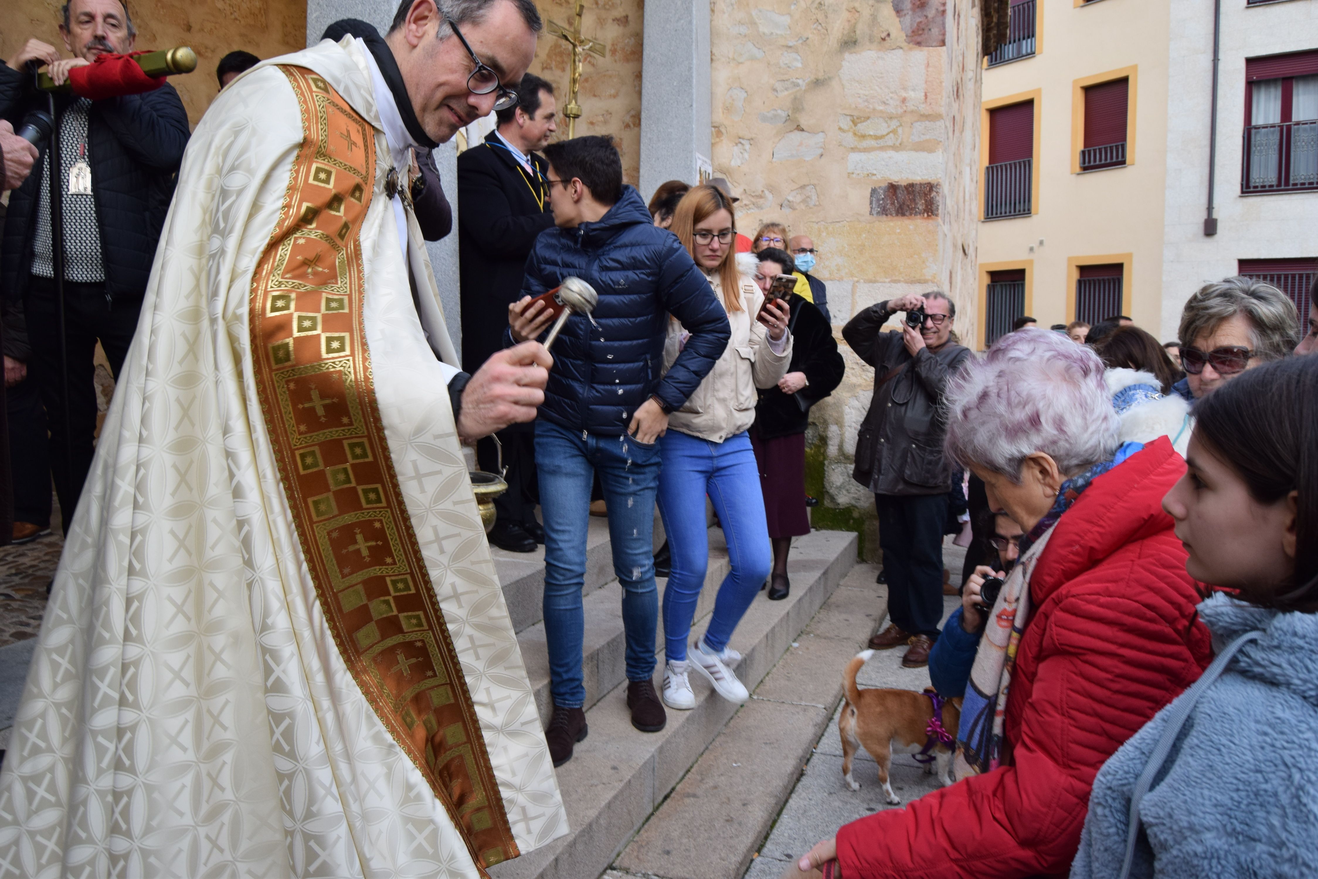 Los animales de Zamora reciben la bendición de San Antón (7)
