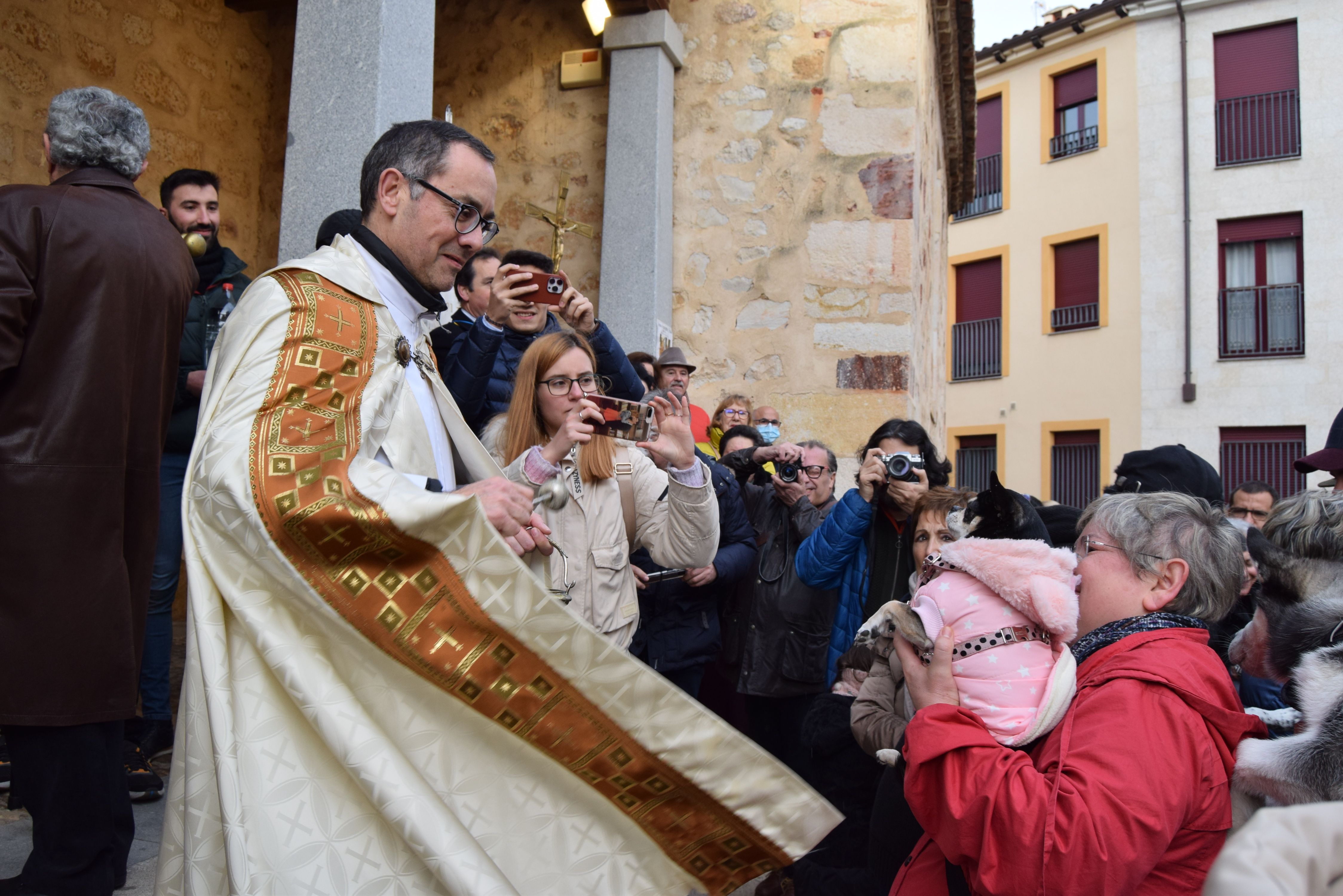 Los animales de Zamora reciben la bendición de San Antón (8)