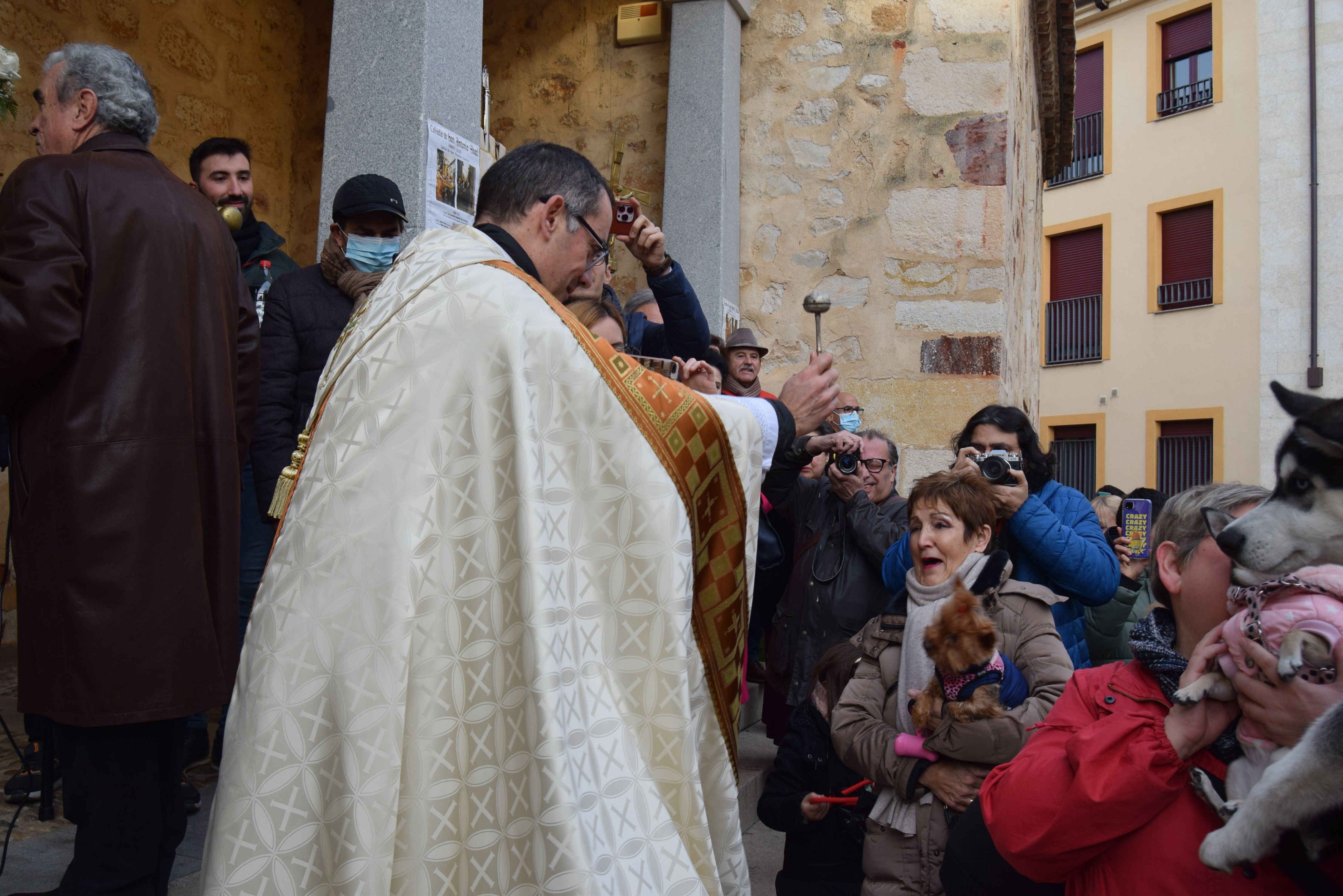 Los animales de Zamora reciben la bendición de San Antón (9)