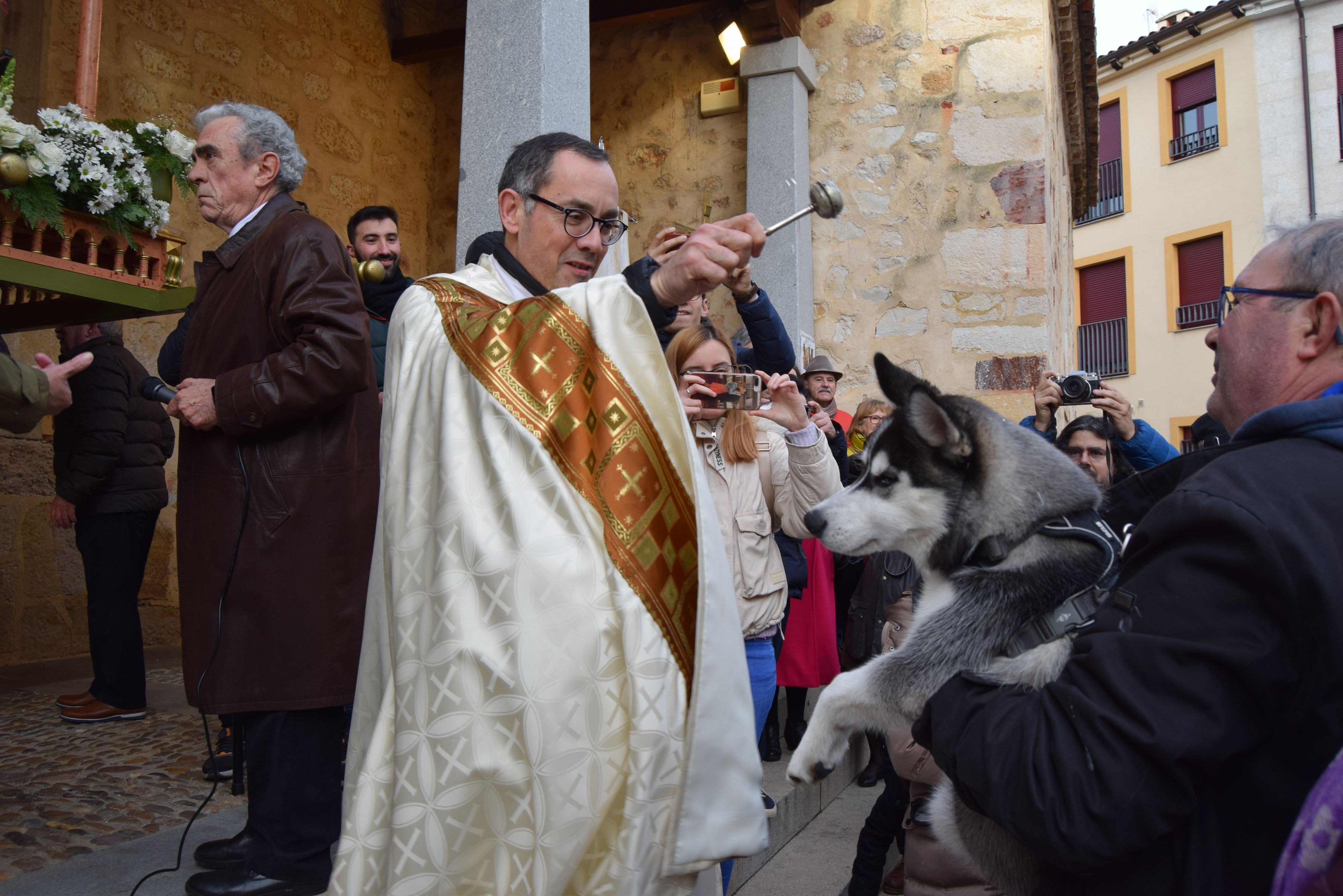 Los animales de Zamora reciben la bendición de San Antón (10)