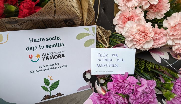 La lluvia condiciona un Día Mundial del Alzhéimer que se ha celebrado bajo techo en Zamora