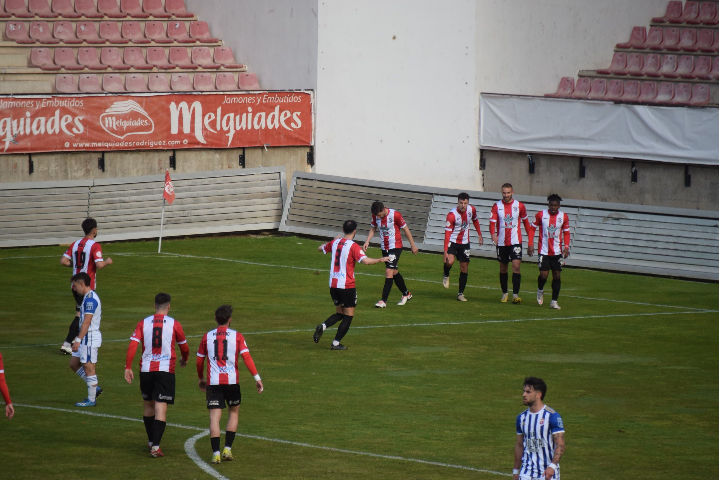 Zamora CF   Gimnástica Torrelavega (4)