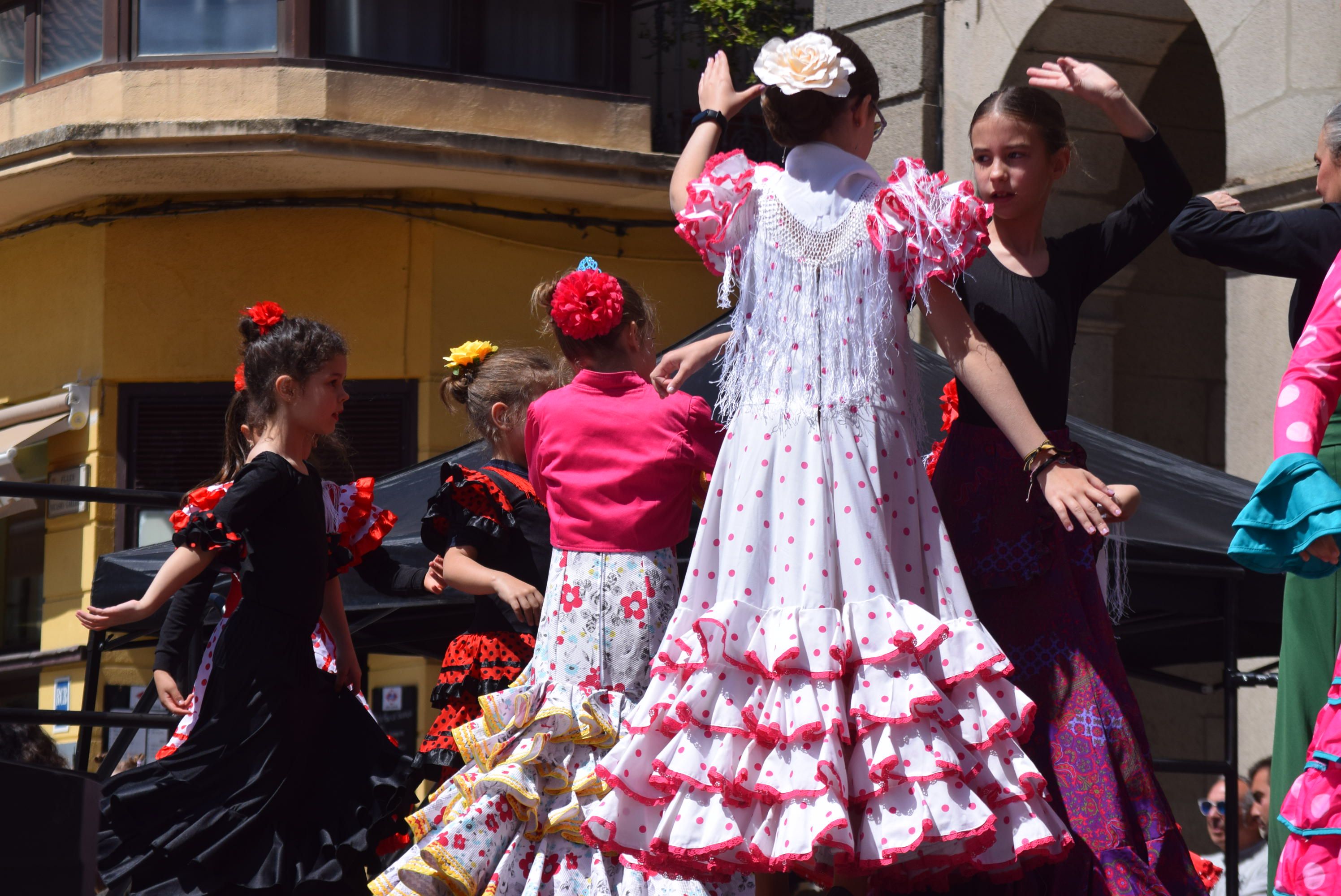 Día de la Danza en Zamora