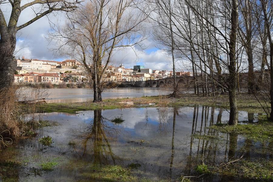 Crecida río Duero