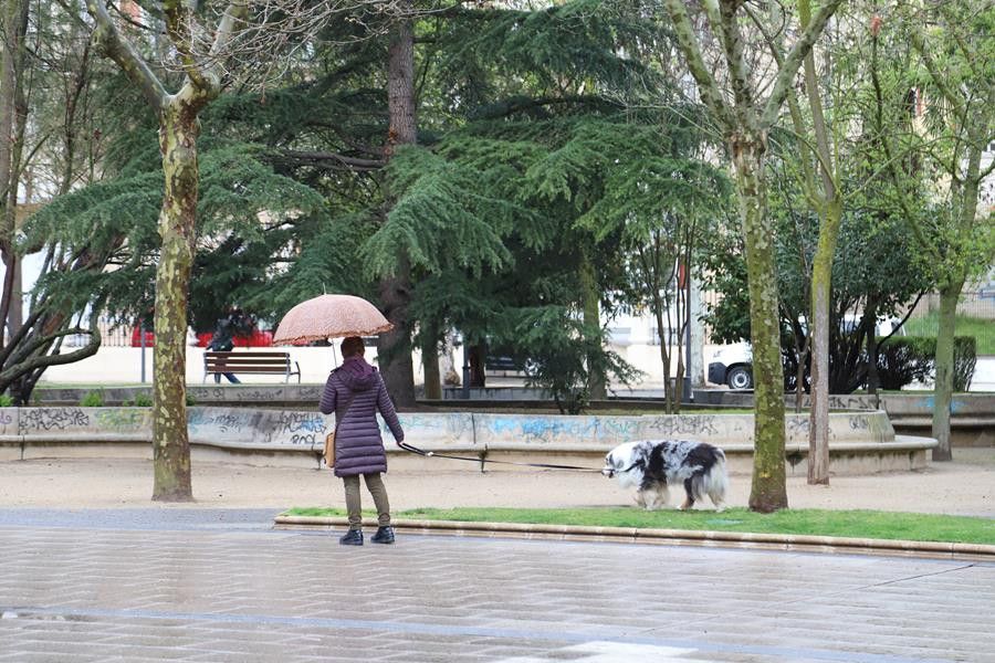  Una mujer pasea a su perro en la Plaza de la Marina de Zamora 