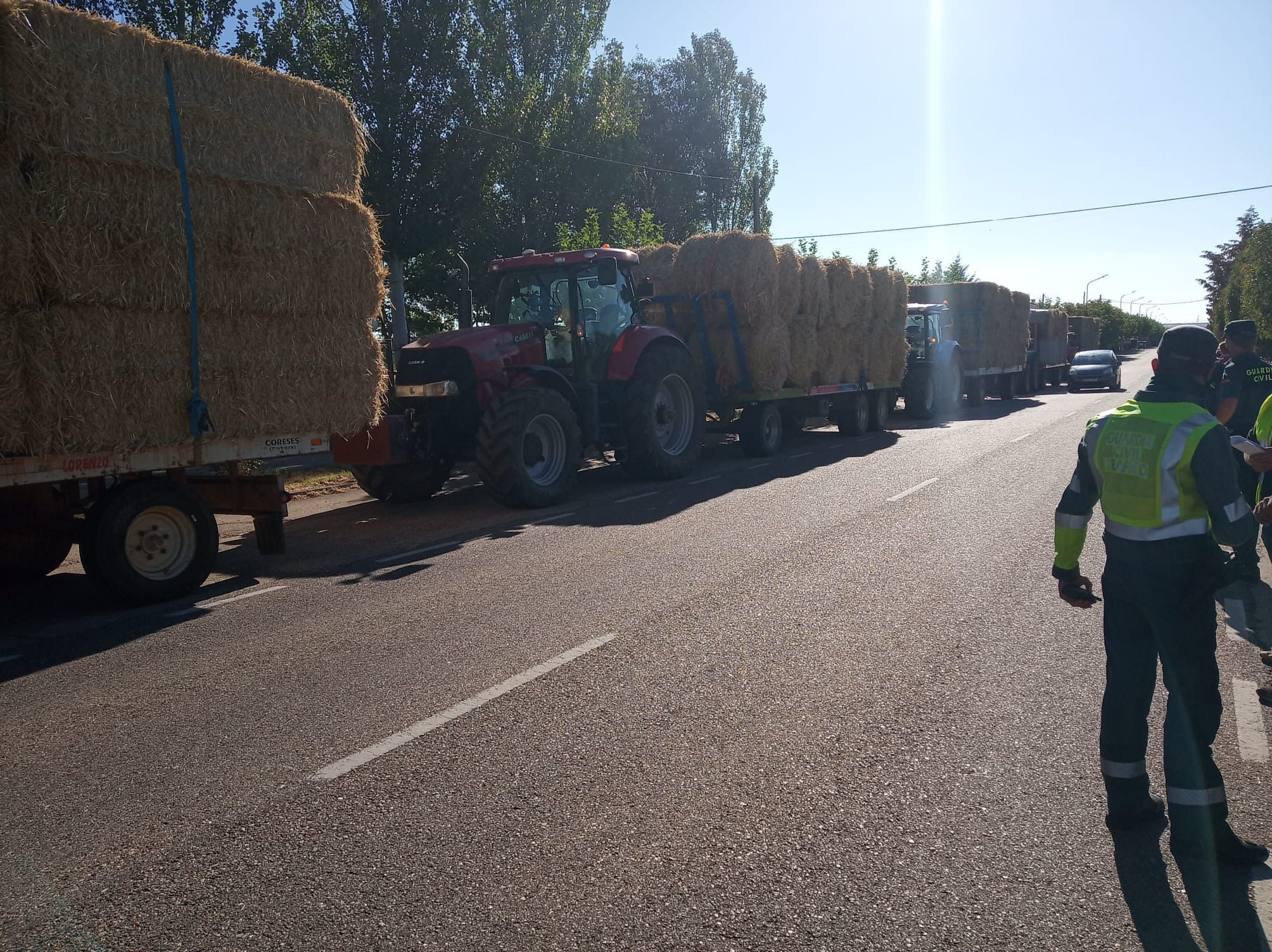  Camiones paja agricultores lober aliste (10) 